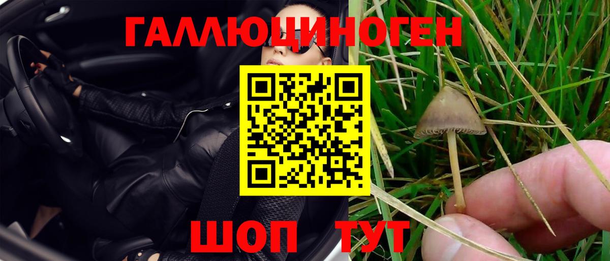 Тихвин  Галлюциногенные грибы мухоморы  Вход с VPN 