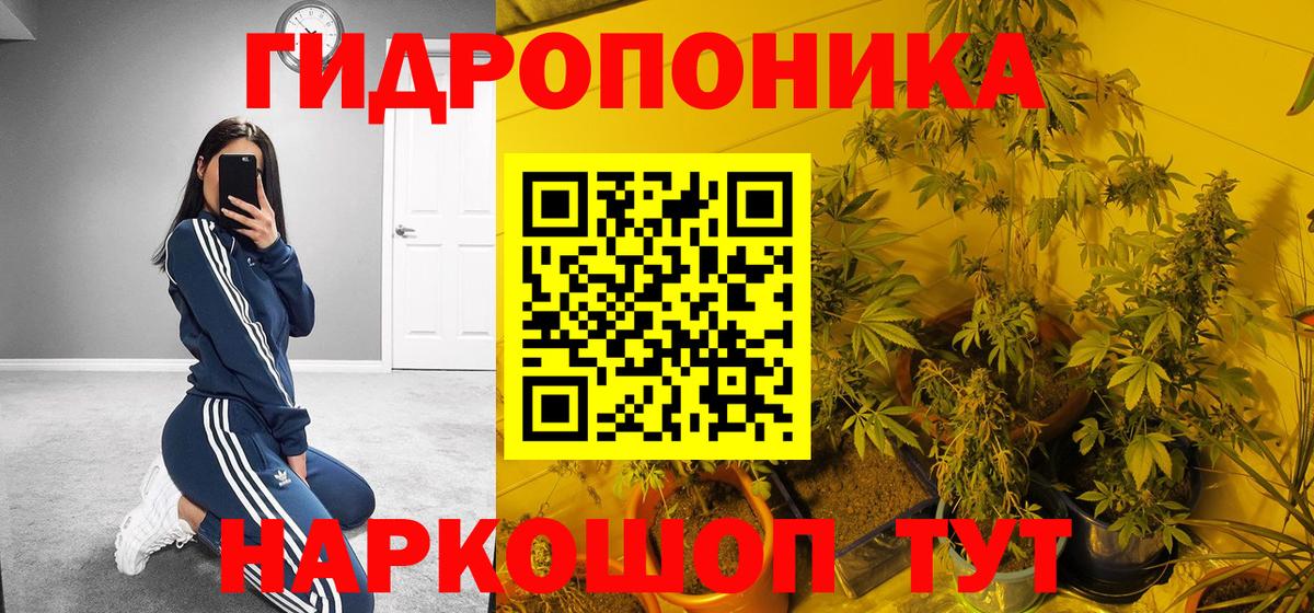 МАРИХУАНА OG Kush Тихвин